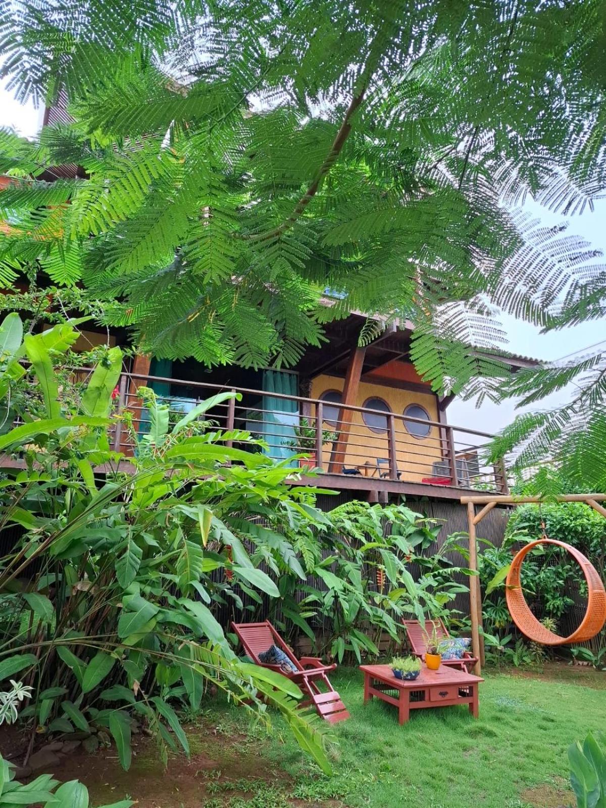 Flamboyant Fernando de Noronha